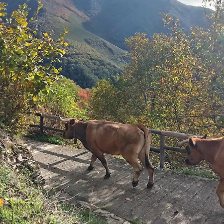 Apartmán Luna Creciente Casa Luna De La Viliella