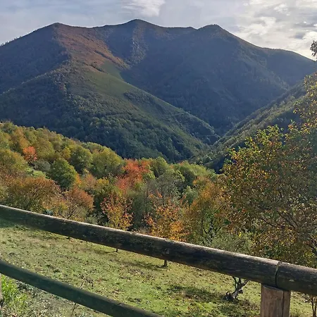 Luna Creciente Casa Luna De *